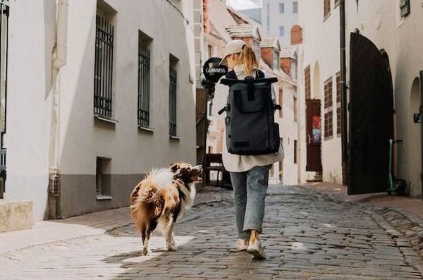 dog friendly countries to visit