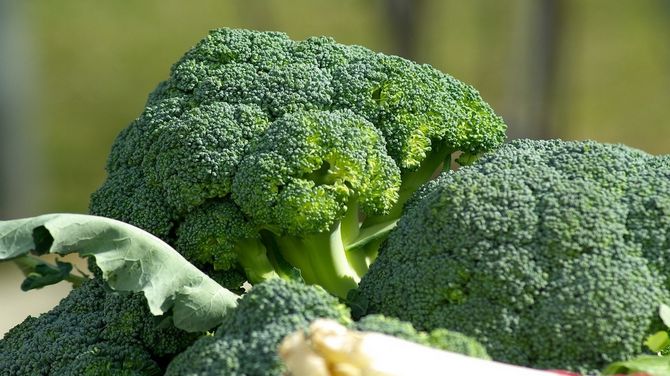 Broccoli for mental health