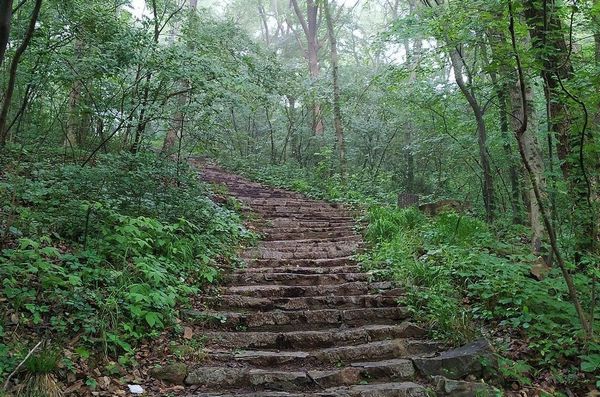 places to hike in dallas